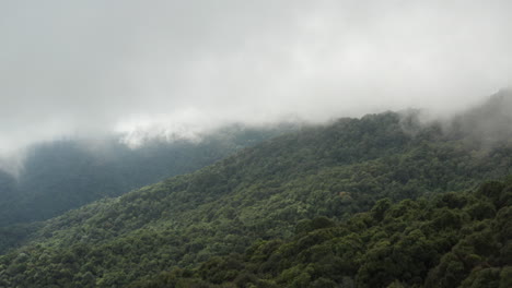 Aerial-Flying-over-Rainforest-with-thick-clouds
