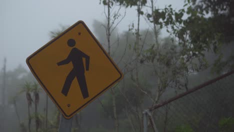 People-Crossing-Sign-on-Foggy-Day