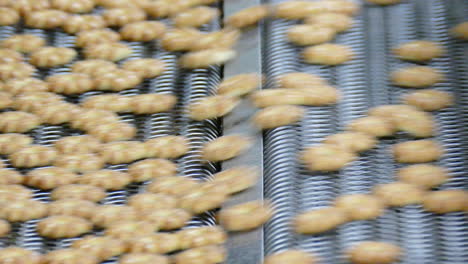 biscuit-on-production-line-in-industrial