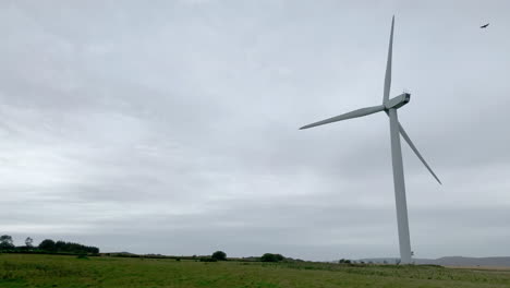 Schmaler-Schuss-Einer-Einzigartigen-Windkraftanlage,-Die-Sich-An-Einem-Bewölkten-Tag-In-Einem-Windpark-In-Northumberland-Dreht