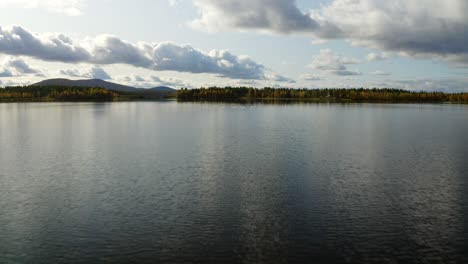 Schwäne-Landen-An-Einem-Wunderschönen-See-Im-Finnischen-Lappland