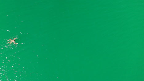 Aerial-top-down-view-of-girl-swimming-breaststroke-from-left-to-right-in-green-lake-water,-female-fitness-health-and-sports,-shot-from-drone-in-4k-resolution