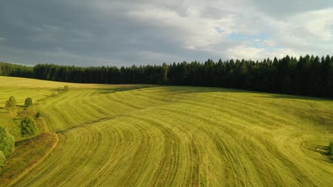 Aerial-descending-drone-flight-over-a-freshly-mowed-meadow-close-to-a-forest