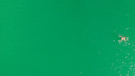Aerial-view-of-young-woman-swimming-from-right-to-left-in-a-green-water-lake,-female-health-fitness-sports