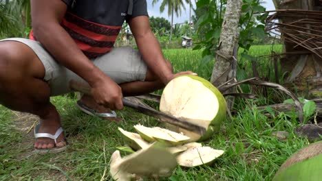 Man-Cutting-Coconut-with-Machete-in-Indonesia