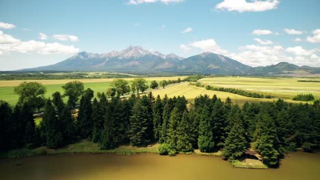 Aerial-footage-of-a-lake-with-spruce-trees-and-mountain-range-in-the-background