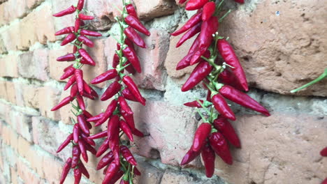 Red-hot-chili-peppers.-Spicy-food.-Organic-ingredients