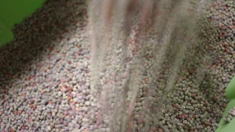 Clemson-Okra-Samen-Ohne-Rückgrat-Zur-Verwendung-Als-Deckfrucht,-Verkauft-Von-Einem-Kleinen-Unternehmen,-Das-Samen-An-Landwirte-Verkauft-Und-Exportiert,-Die-Sich-Sorgen-Um-Die-Bodengesundheit-Machen
