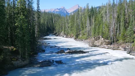 Vista-Del-Paisaje-Natural-Del-Río-Esmeralda-Afon-En-El-Parque-Nacional-Yoho,-Alberta,-Canadá-En-Verano-Durante-El-Día-Con-Un-Fuerte-Flujo-De-Agua-Bajo-El-Sol-Cielo-Azul-Claro-Con-Bosque-De-Pinos