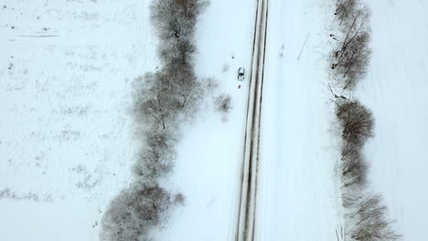 Slow-and-Steady-top-down-aerial-shot-of-slippery-road-covered-with-ice-with-no-traffic,-between-birch-alley-on-cloudy-winter-day-in-Latvia,-revealing-black-car-parked-next-to-it