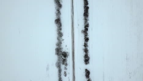 Aerial-footage-of-an-empty,-snow-covered-road-between-birch-alley---TOP-DOWN-view-on-cloudy-Winter-day