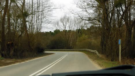 An-asphalt-road-surrounded-by-bare-trees-captured-from-a-moving-car