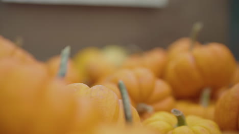 Rack-focus-down-a-bunch-of-small-pumpkins-piled-on-top-of-each-other