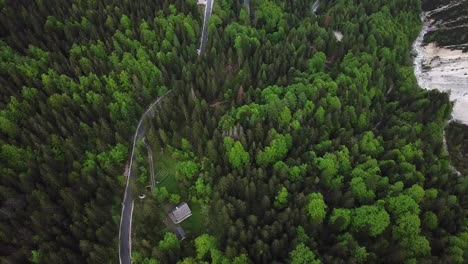 Drone-shot,-top-view,-of-a-slovenian-country-road-surrounded-by-a-mountain-forest