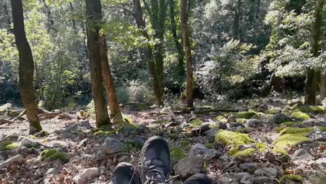 Feet-of-hiker-couple-resting-on-rocky-ground-in-deep-forest-on-early-autumn-sunny-day,-Part-3,-TILT-UP