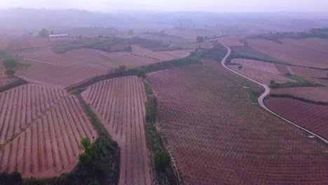 Luftaufnahmen-Von-Rioja-Alavesa-In-Der-Nähe-Von-Samaniego