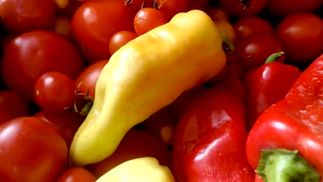 Variety-of-homegrown-organic-colorful-peppers-and-tomatoes,-DOLLY-FORWARD