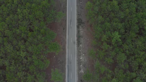 Aerial-vertical-view-of-a-road-splitting-a-beautiful-pine-wood-forest