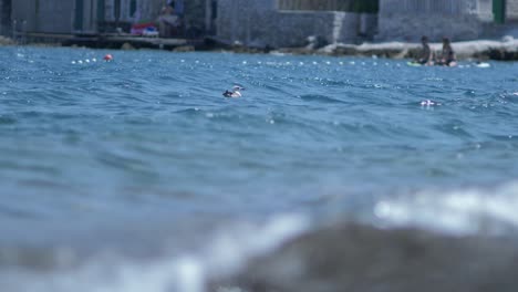 Seagulls-floting-in-waves,-people-on-paddle-board-in-background---slow-motion-shot-from-water-level