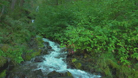 Wahkeena-Falls-flowing-into-creek,-trees,-foliage,-slomo,-static