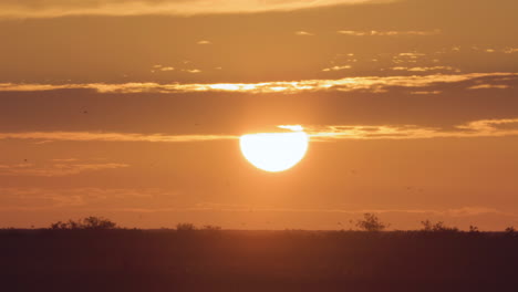 Sonnenuntergangssonnenlandschaft-Mit-Wolken-Und-Vögeln,-Die-In-Der-Silhouette-Fliegen