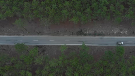 Aerial-vertical-view-of-a-road-splitting-a-beautiful-pine-wood-forest