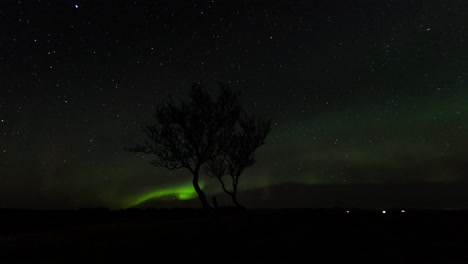 Lapso-De-Tiempo-De-Increíbles-Auroras-Boreales-Filmadas-En-Islandia-Con-Un-Hermoso-árbol-Solitario-En-Primer-Plano