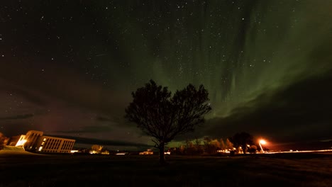 Lapso-De-Tiempo-De-Increíbles-Auroras-Boreales-Filmadas-En-Islandia-Con-Un-Hermoso-árbol-Solitario-En-Primer-Plano