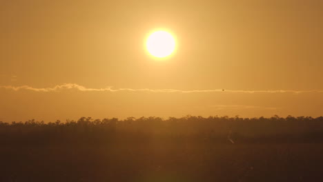Sonnenaufgang-Sonnenuntergang-Sonne-Mit-Baumlandschaft-Und-Vogelsilhouetten-Fliegen