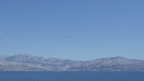 Seagulls-flying-over-the-sea,-mountains-in-the-background---wide-angle-shot
