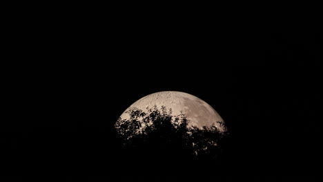 Peak-of-moon's-moon-captured-with-treetops-at-closeup-close-up-view-during-night-zoom-in-moon,-and-Lunalon-construction-with-detailed-moon-landscape-captured-in-4k