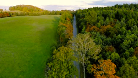Aerial-footage-over-the-asphalt-road,-next-to-are-colorful-trees-in-autumn-colors,-around-the-green-fields-and-trees-on-the-horizon,-warmth-over-masuria,-Poland