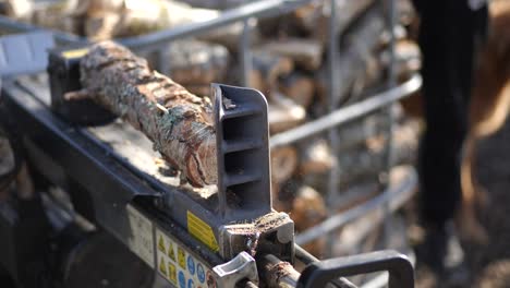 Static-close-up,-Wooden-log-splits-in-half,-Wood-cutting-machine-chops-timber-log,-shallow-depth-of-field