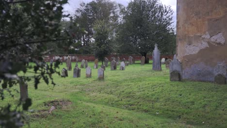Gire-A-La-Derecha-De-Holly-Bush-Para-Mostrar-El-Antiguo-Cementerio-Con-Lápidas-Cubiertas-De-Musgo-Y-La-Esquina-De-Las-Antiguas-Paredes-De-La-Iglesia