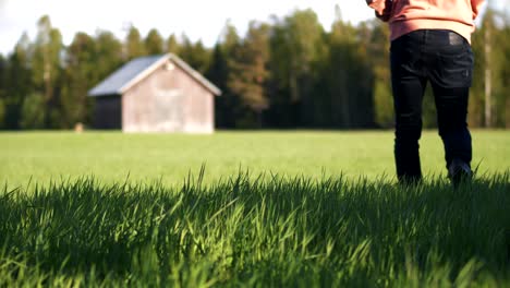 Lonely-Young-Man-in-hoodie-walking-off-on-green-grass-field-towards-old-weathered-barn,-green-grass-swaying-in-the-foreground,-shallow-depth-of-field