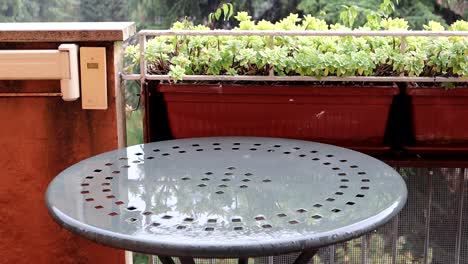 A-metallic-garden-table-and-vase-of-green-plants-under-the-rain-in-Bologna
