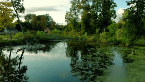 Aerial-footage-on-a-small-pond-in-the-middle-of-the-village,-trees-around-the-pond-and-high-grass-on-the-edge-of-the-water-reservoir,-old-house-in-the-background