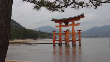 La-Puerta-Flotante-Del-Santuario-Torii-Itsukushima-En-La-Isla-De-Miyajima-Con-Un-árbol,-Prefectura-De-Hiroshima