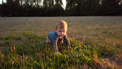 Happy-toddler-boy-crawls-through-tall-grass-facing-sunset-during-warm-summer-evening