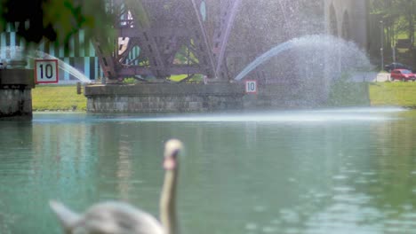 4K-Slow-Motion:-A-Water-fountain-in-a-lake-with-a-swan-swimming-in-the-foreground