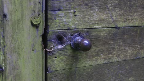 Wooden-door-with-old-handle-and-worn-keyhole-with-cobwebs