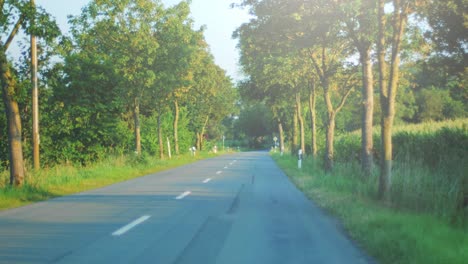 4K-Smooth-shot-of-a-country-road-during-golden-hour-with-trees-and-fields-beside-the-road