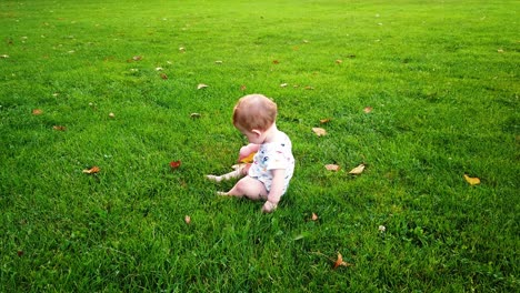 Steady-shot-of-happy-toddler-boy-sitting-alone-in-park-playing-with-leaf