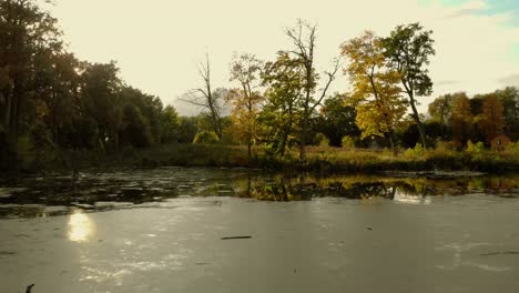 Schöner-Herbstblick-Auf-Kleinen-Teich-Mit-Kleiner-Holzbrücke,-Bunte-Bäume-In-Grün-,-Gelb--Und-Orangetönen-Am-Rand-Des-Teiches