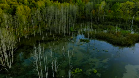 Aerial-footage-at-the-pond-in-autumn,-trees-without-leaves,-bald-stems-of-trees,-colorful-landscape-around,-beautiful-sunset,-warmiaand-masuria,-Poland