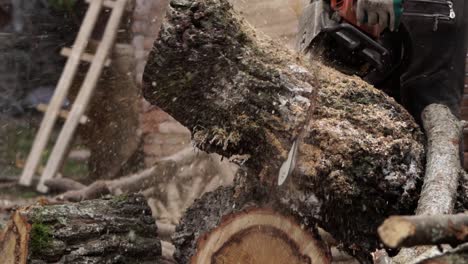 slow-motion,-cutting-a-tree-trunk-by-chainsaw