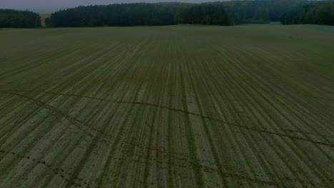 Luftaufnahmen-über-Archiviert-Während-Eines-Nebligen-Morgens,-Bewölktem-Himmel-Und-Naturlandschaft-Herum,-Drohne-4k,-Ermland-Und-Masuren,-Polen