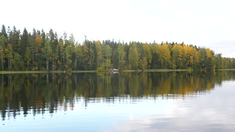 Schwenk-Auf-Einen-Ruhigen-See,-Umgeben-Von-Gelben-Herbstbäumen
