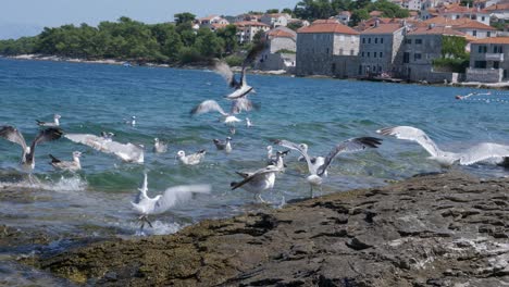 Flying-seagulls-in-rocky-waters-of-Croatia