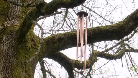 Wind-chimes-hanging-on-a-tree